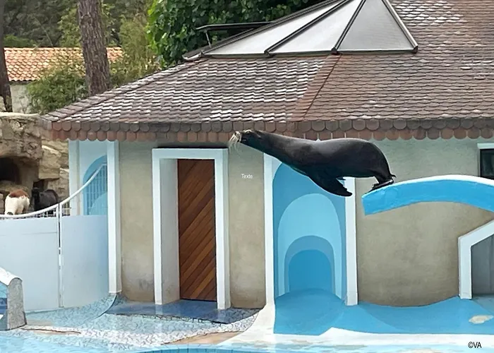 Quiet Mobile - Cc217 Les Charmettes 4 Stars 펜션 *